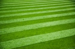 How A Lawn Gets It’s Stripes